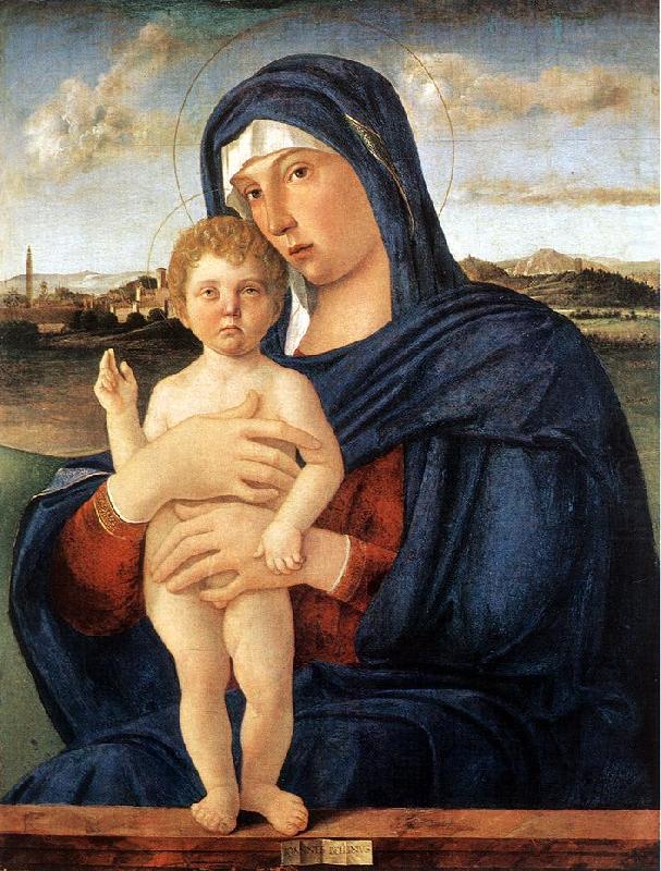 Madonna with Blessing Child 23ru, BELLINI, Giovanni